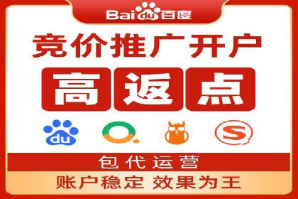 专业SEM运营托管服务案例分析